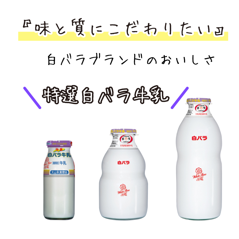 特選白バラ牛乳