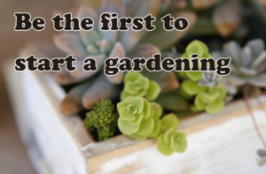 ガーデニングブログ