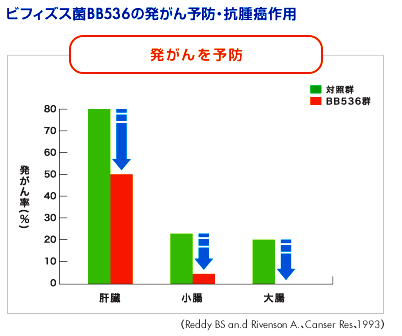 BB536資料1