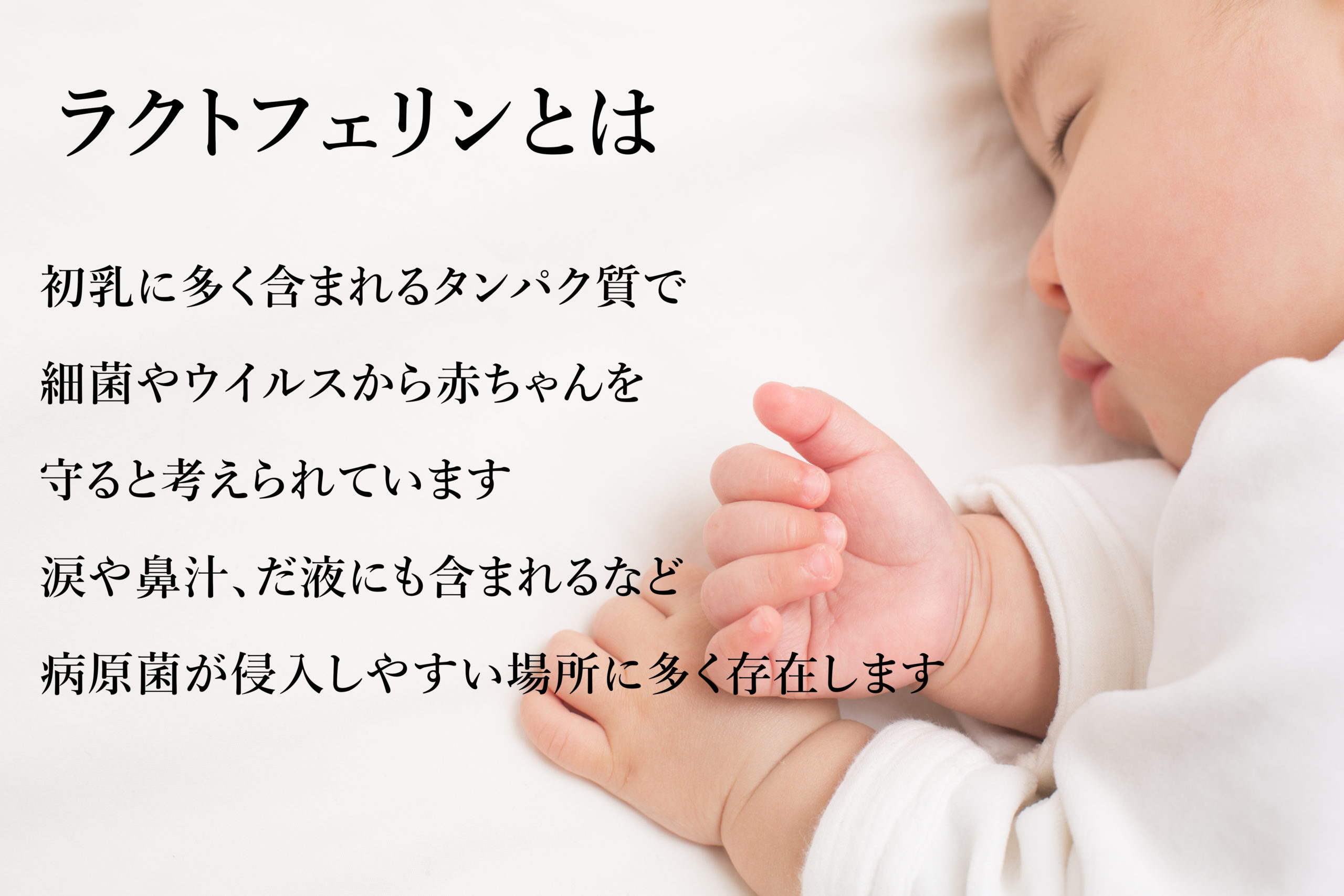 ラクトフェリンとは
