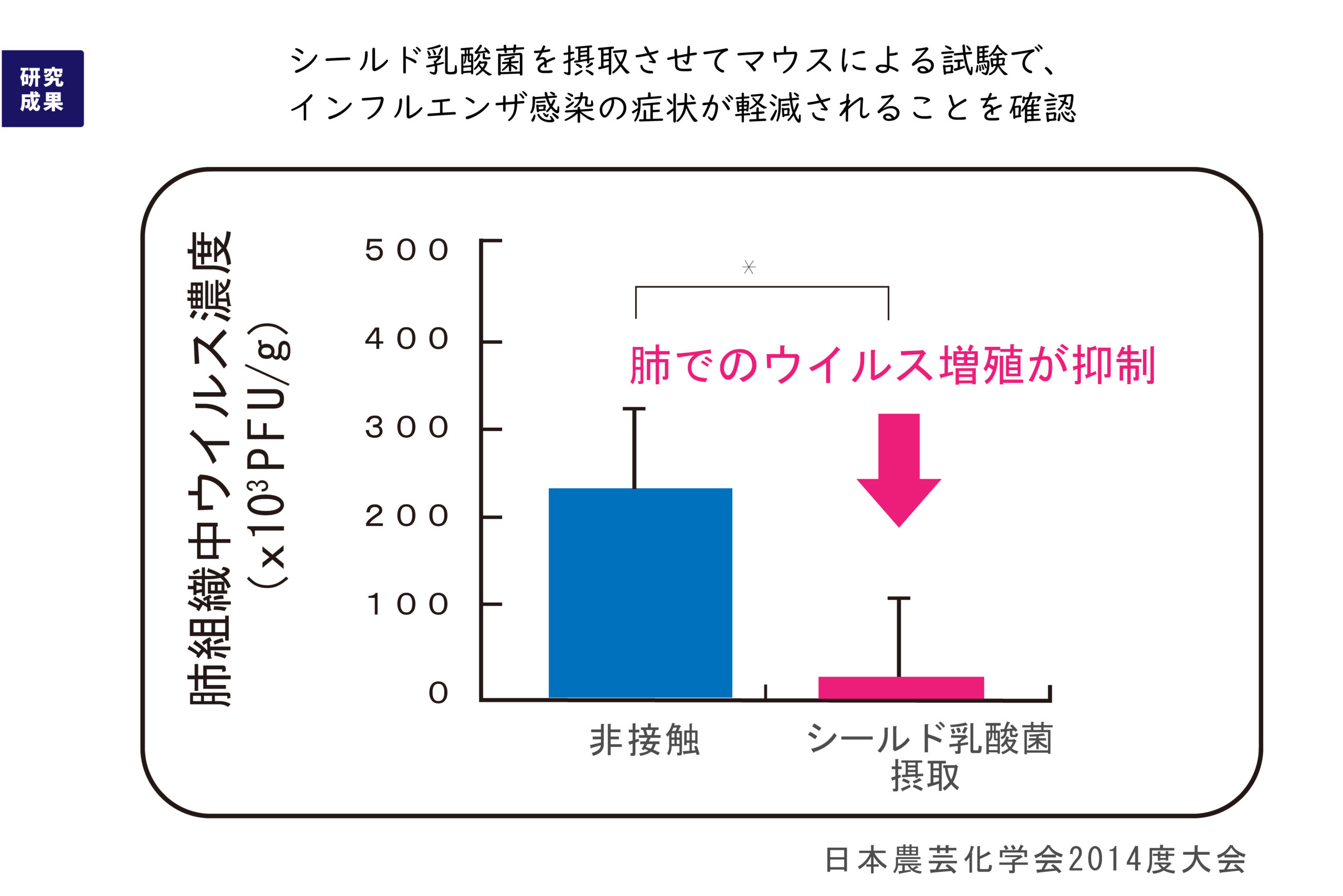 シールド乳酸菌02