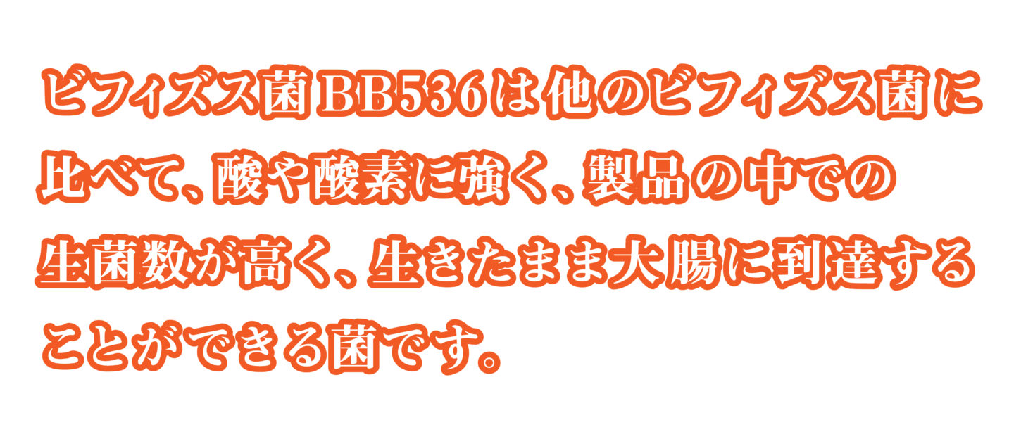 ビフィズス菌BB536見出し