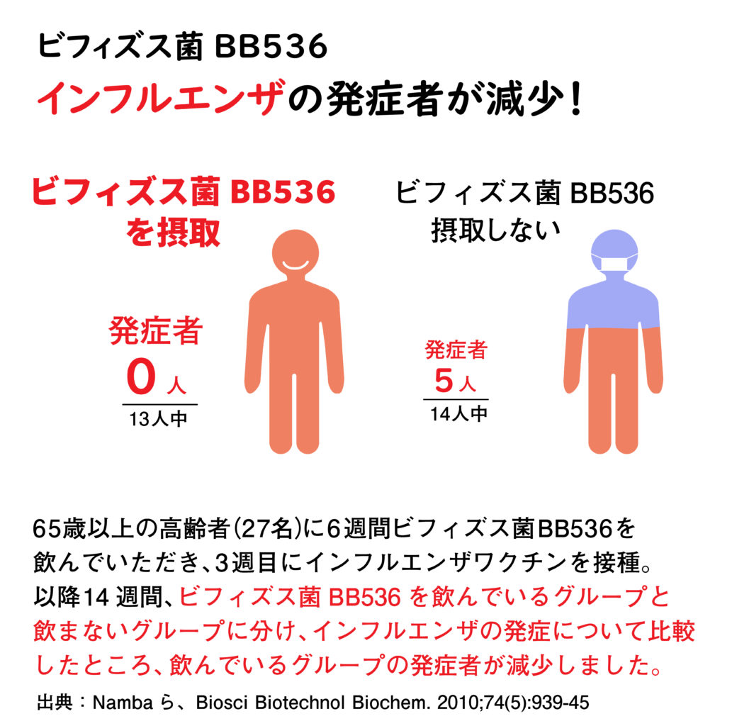BB536データー